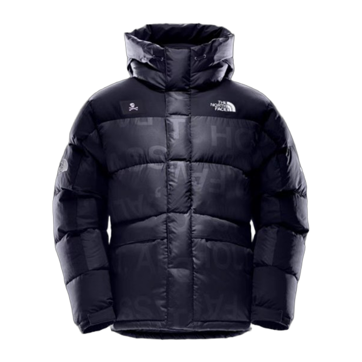 The North Face Urban Exploration Special Series Down Parka – Style 5J27